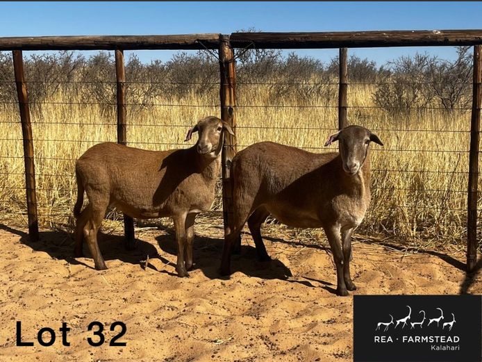 Ooie | Rea Farmstead