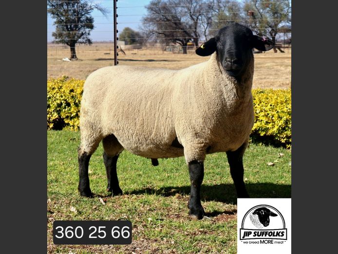 360250066 | J.I. POTGIETER