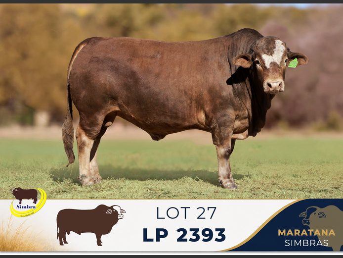 LP2393 | MARATANA BOERDERY (PTY) LTD