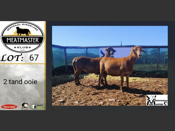 Ooie | Seeikoeineus Meatmasters