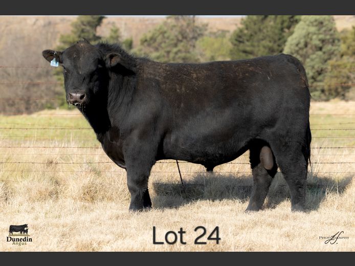 KCM 230086 | TABLE HILL FARMING PTY LTD