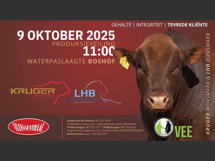 KRUGER & LHB BONSMARAS PRODUKSIEVEILING