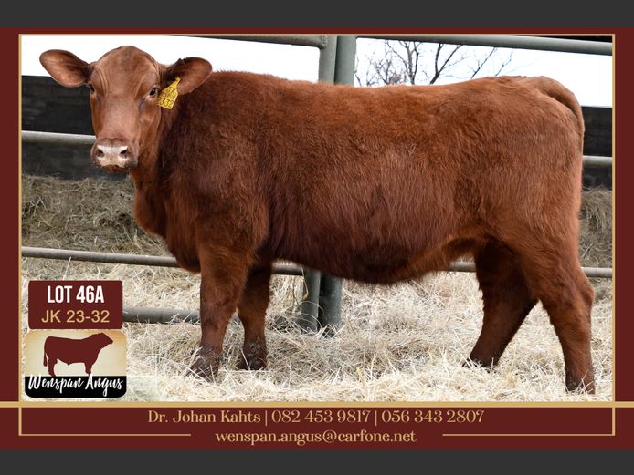 JK 230032 | J. KAHTS
