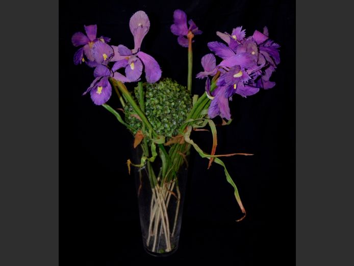 LARGE GLASS VASE WITH EVERLASTING DUTCH IRISES, 45cm High
