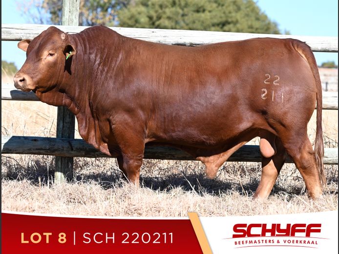 SCH 220211