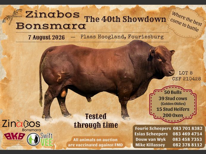 ZINABOS BONSMARA THE 40TH SHOWDOWN