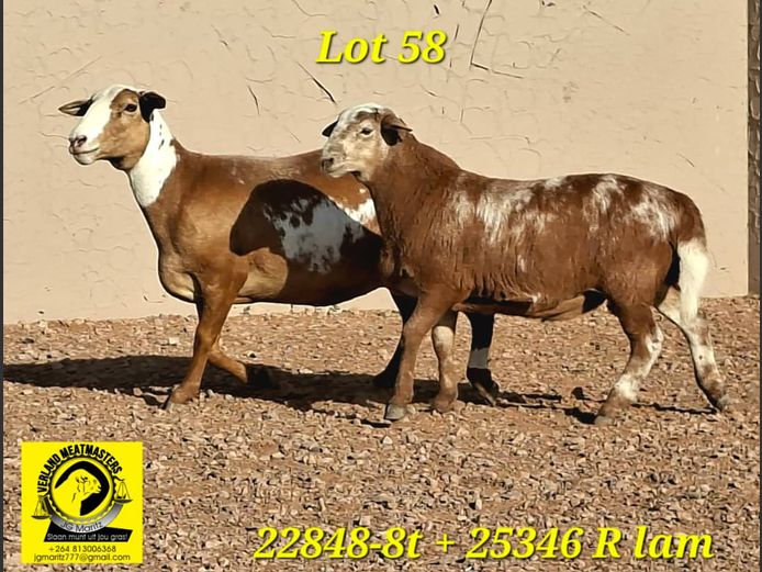 VERLAND MEATMASTERS | 22848