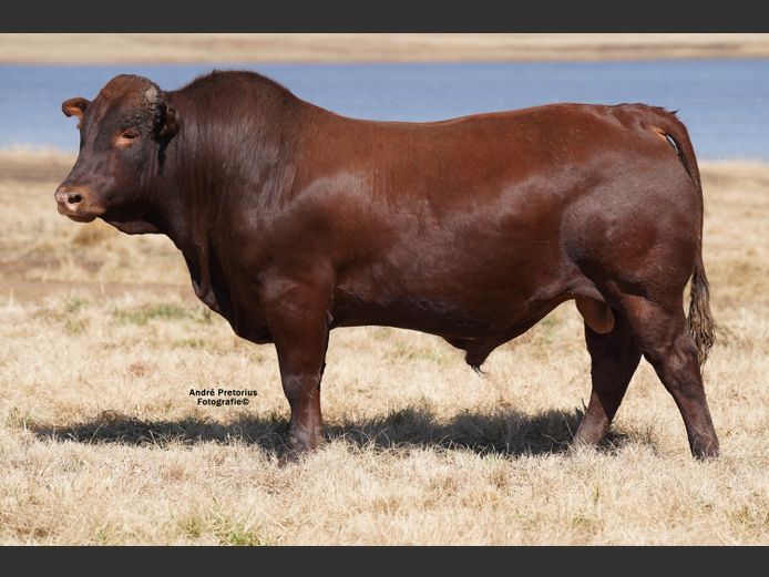 AG220139