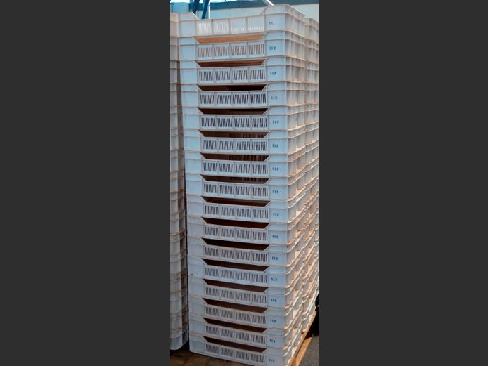 LOT OF 16: PLASTIC FRUIT CRATES