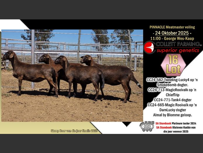 CC  240582 | COLLETT FARMING CC