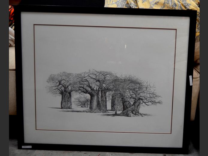 DARK MAHOGANY FRAMED & SIGNED PRINT "BAOBABS", 63.5 x 49cm