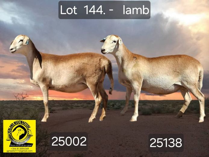 25002 | VERLAND MEATMASTERS
