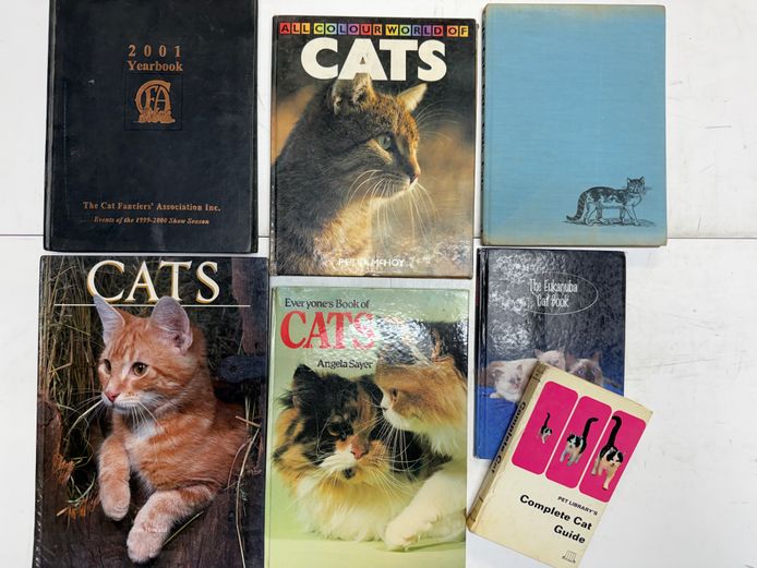 Set of Cat Books (1) 