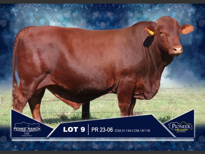 PR 230006 | PEINKE RANCH