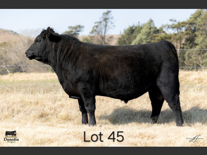 KCM 230142 | TABLE HILL FARMING PTY LTD