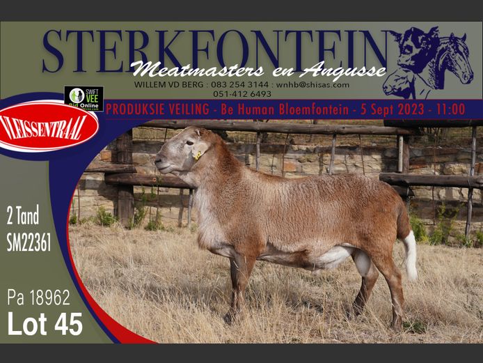 SM 22 361 | Sterkfontein Meatmasters