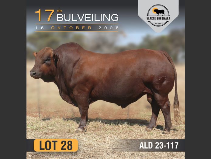ALD230117 | ALDIGO BONSMARAS