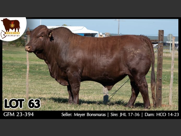 GFM 230394 | MEYER BONSMARAS