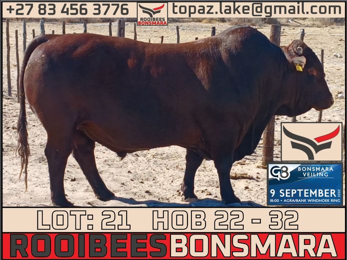 HOB 220032 | ROOIBEES FARMING PTY LTD