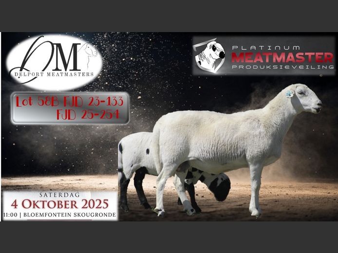FJD 23-133 | Piet & Cois Delport - Delport Boerdery, Wesselsbron