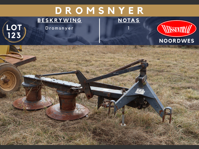 DROMSNYER