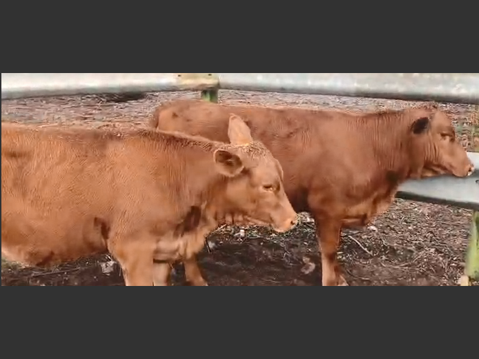 Angus Verskalf