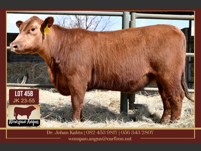 JK 230055 | J. KAHTS