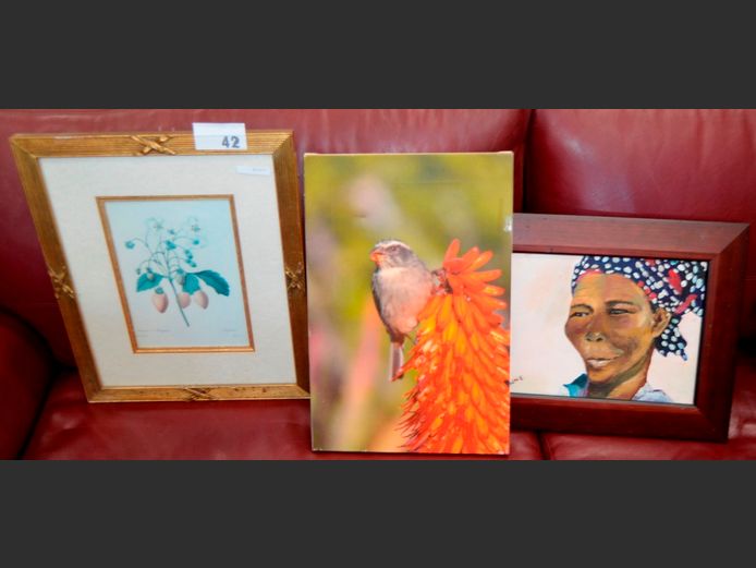 FRAMED OIL ON CANVAS "AFRICAN LADY", 29 x 22cm, GILT FRAMED BOTANICAL PRINT, 26 x 18cm, etc