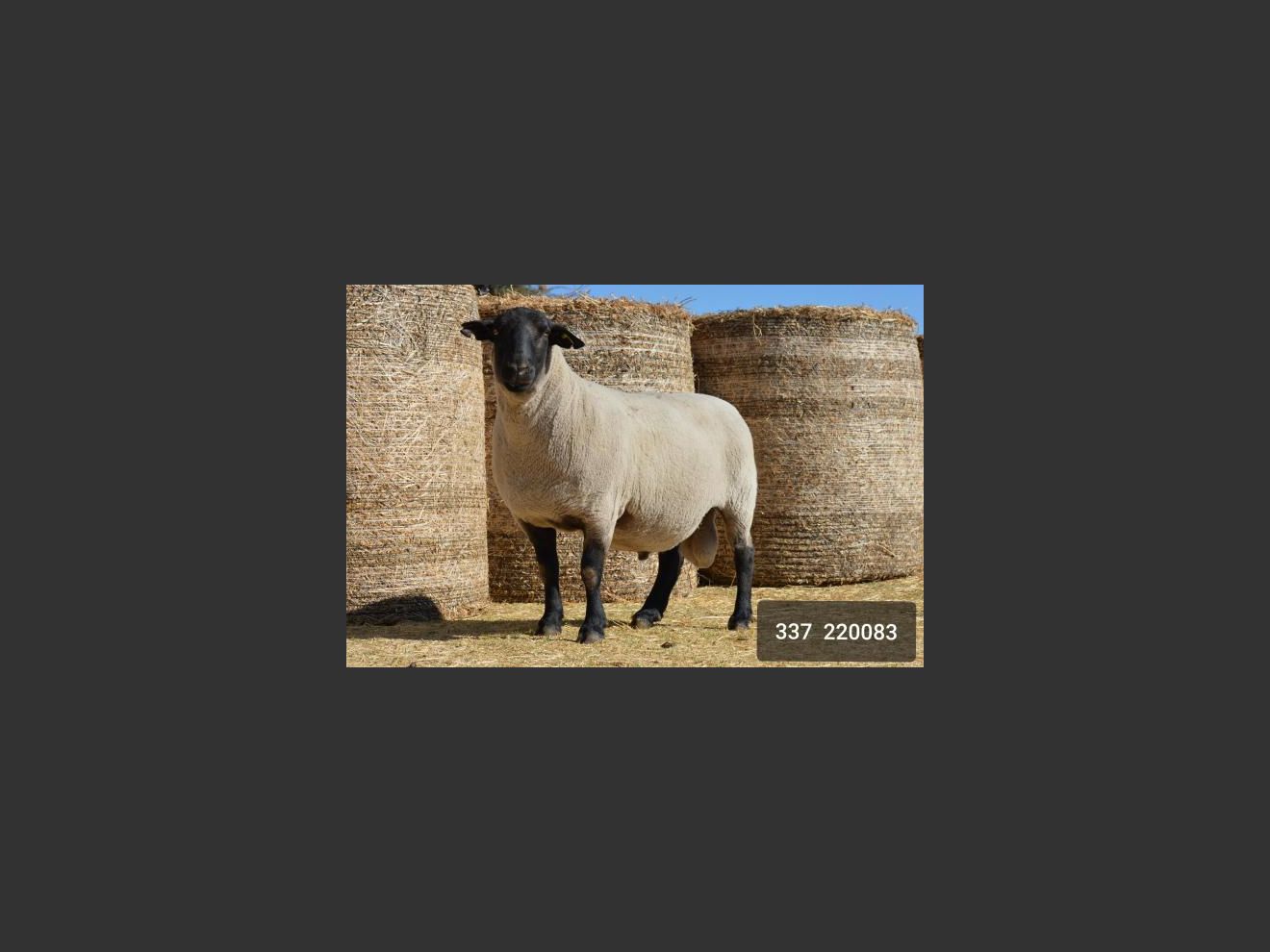 images
