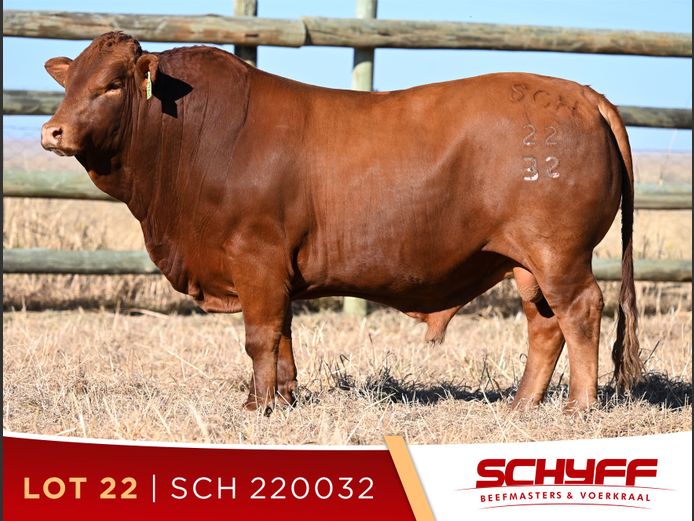 SCH 220032