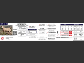 genetic_data
