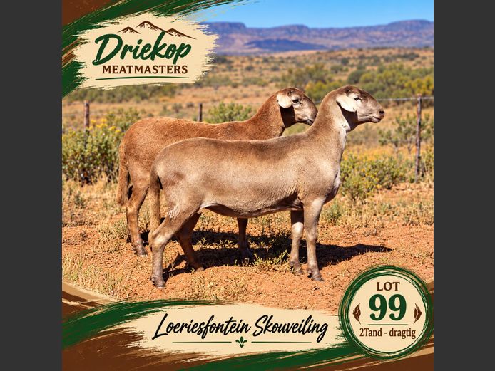 Driekop Meatmasters