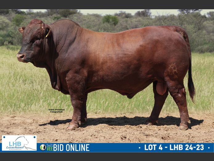 LHB 240023 | LEEUHEUWEL BOERDERY (EDMS) BPK