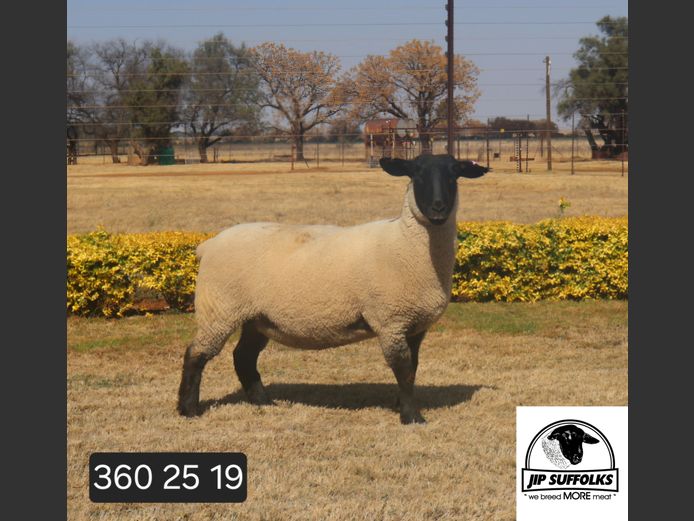 360250019 | J.I. POTGIETER