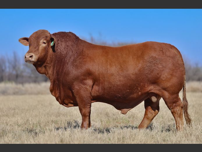 AL230096 HH | AGEN LANDGOED