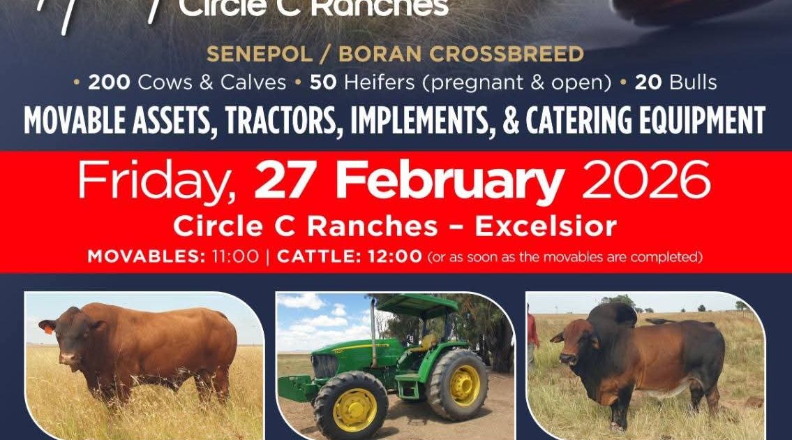 CIRCLE C RANCHES DISPERSAL AUCTION | SwiftVEE | South Africa’s Leading ...