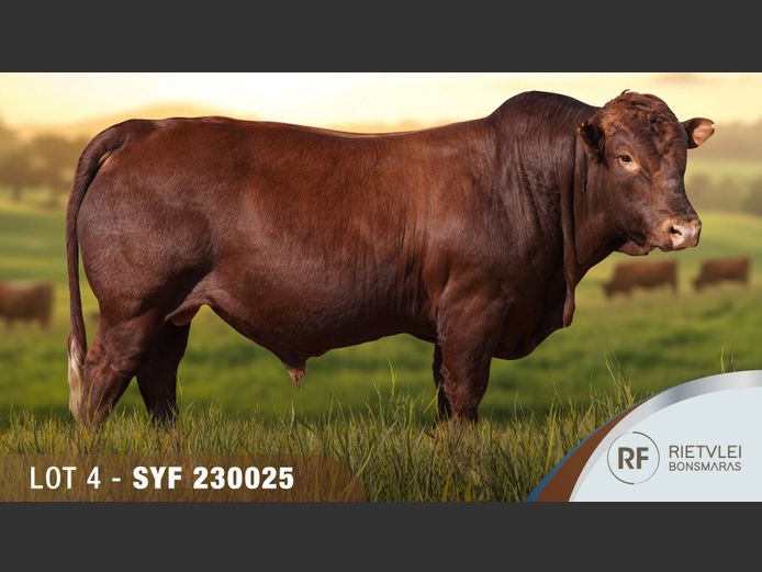 SYF230025 | FA-YI ZHOU FAMILY TRUST