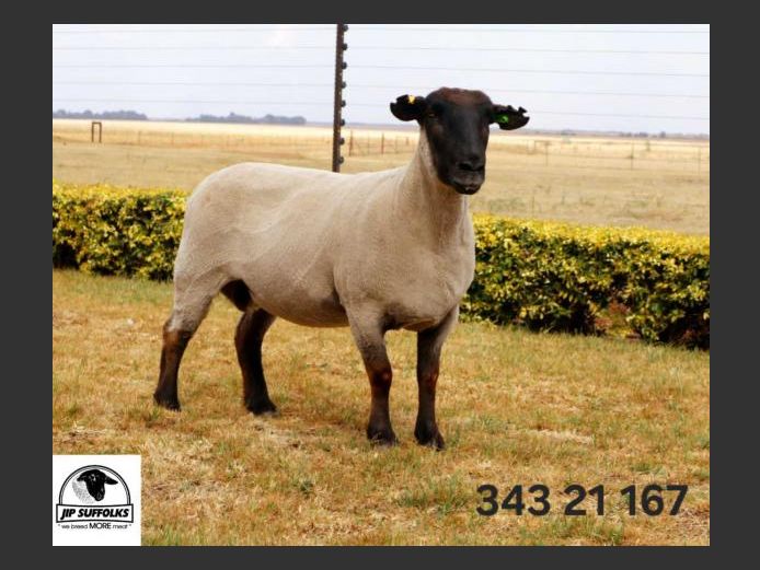 343 210167 | J.I. POTGIETER