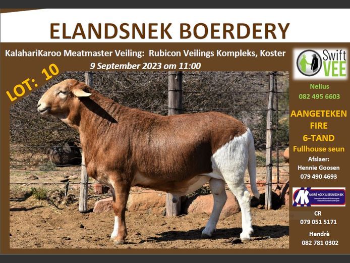 RSL 10 | ELANDSNEK BOERDERY