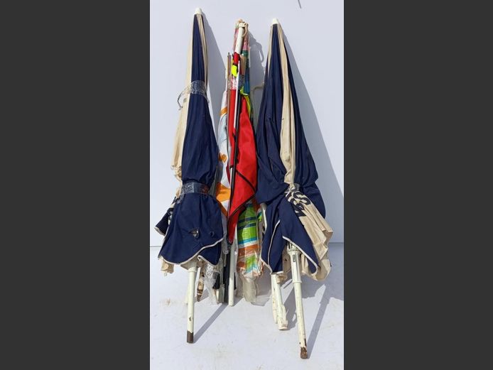 LOT: BEECH UMBRELLAS 