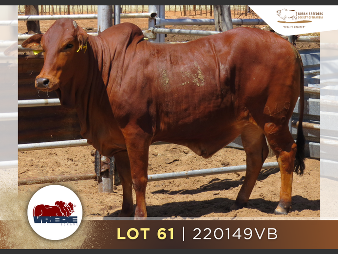 22-0149VB | VREDE BORANS