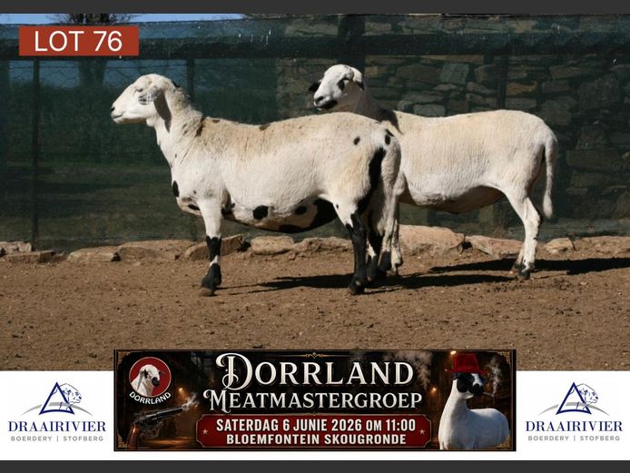 NS21-415 | Draairivier Boerdery