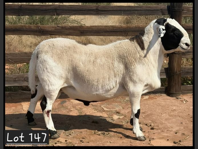 25-72 | PG VAN DEVENTER