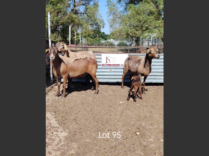 JAC 23-32 | Jacob's Share Meatmasters