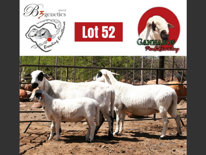 BBB21-0188 | B3genetics Pty Ltd