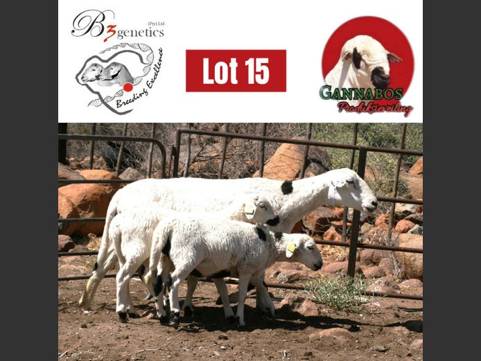 21-253 | B3genetics Pty Ltd