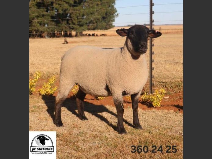 360240025 | J.I. POTGIETER