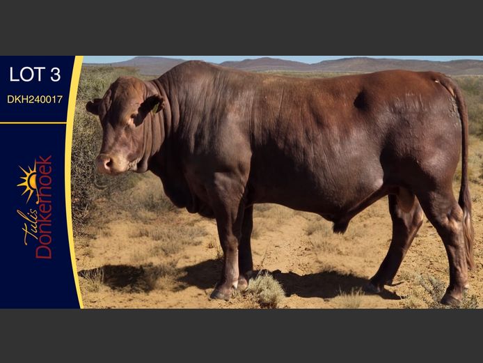 DKH240017 | DONKERHOEK BOERDERY TRUST