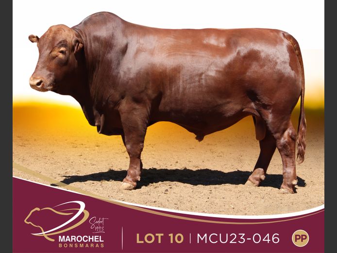 MCU 230046