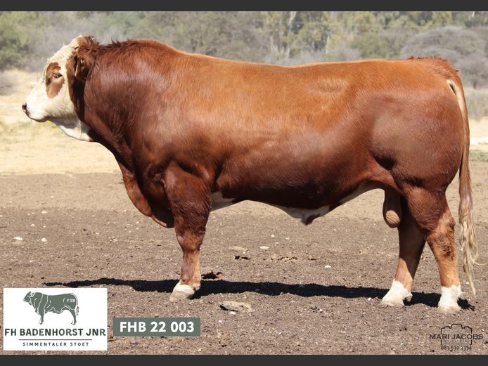 FHB223 | FH BADENHORST